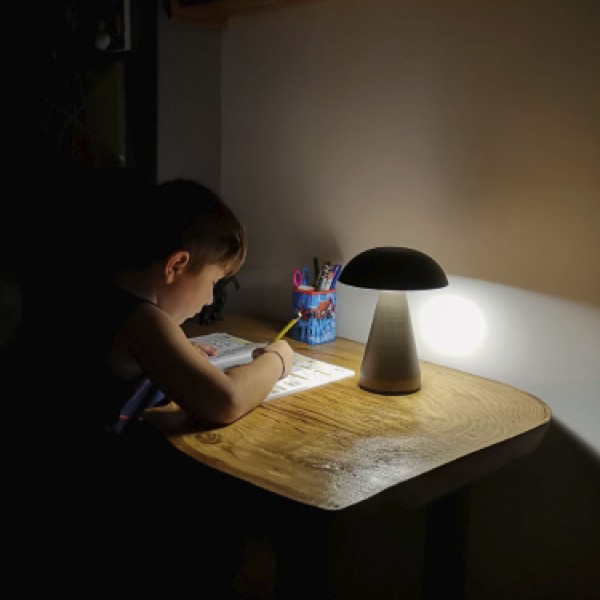 Rechargeable Desk Lamp Palermo